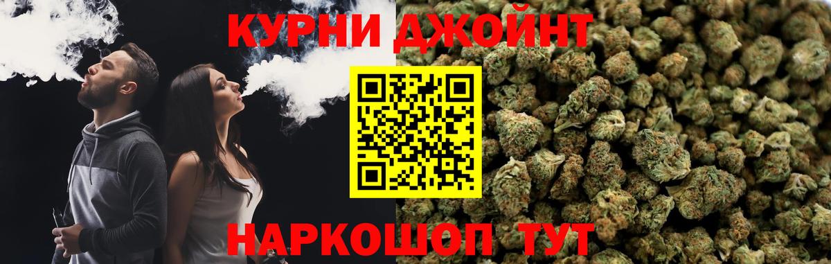 Канабис SATIVA & INDICA Дмитров